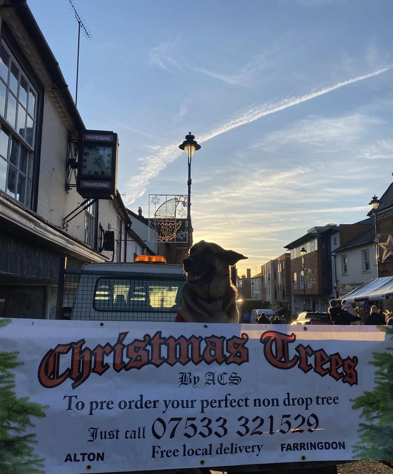 Benson keeps an eye on Alton High Street
