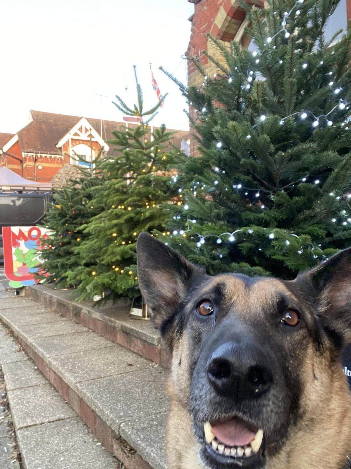Benson on duty, Alton