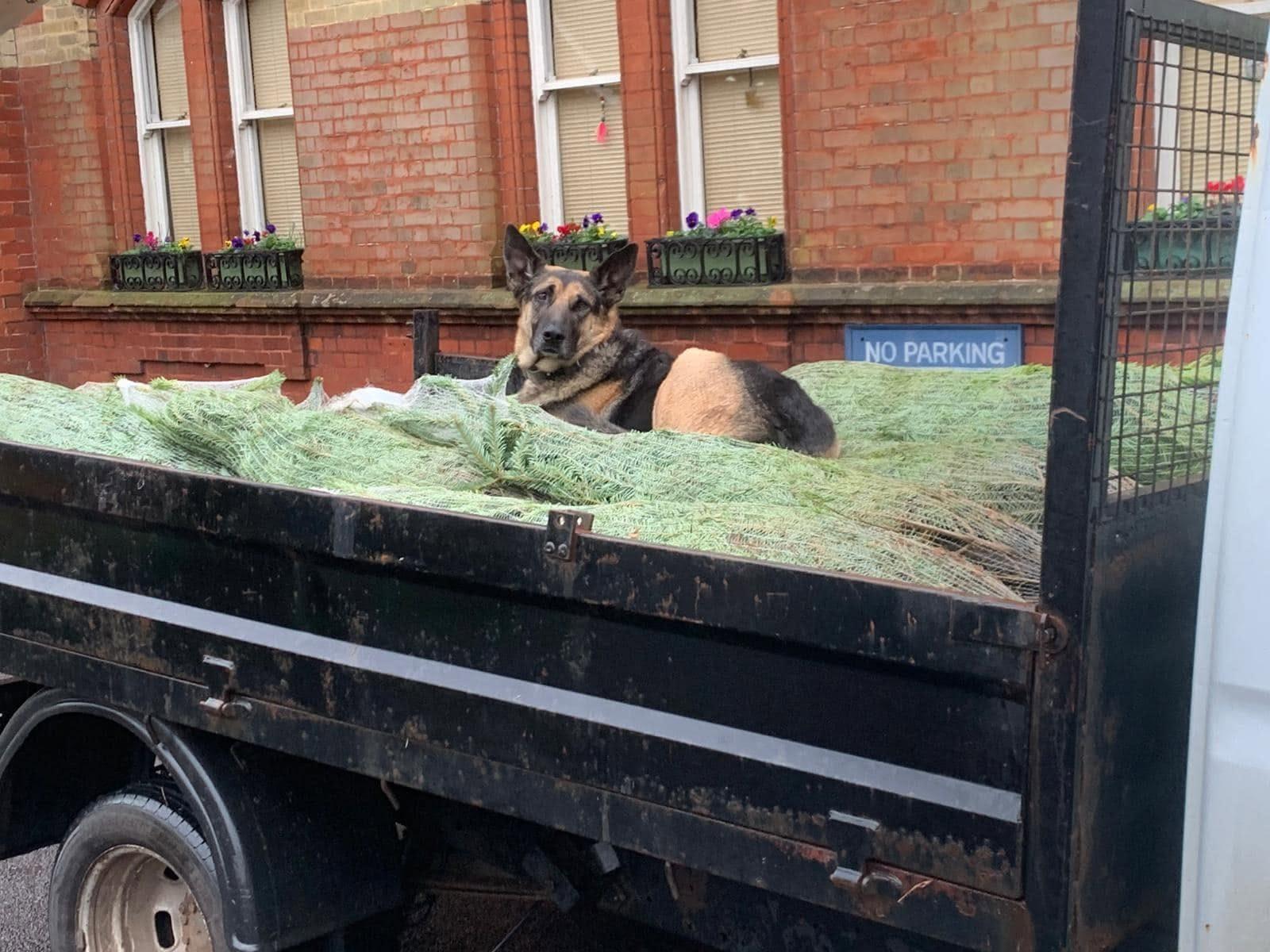 Delivery day