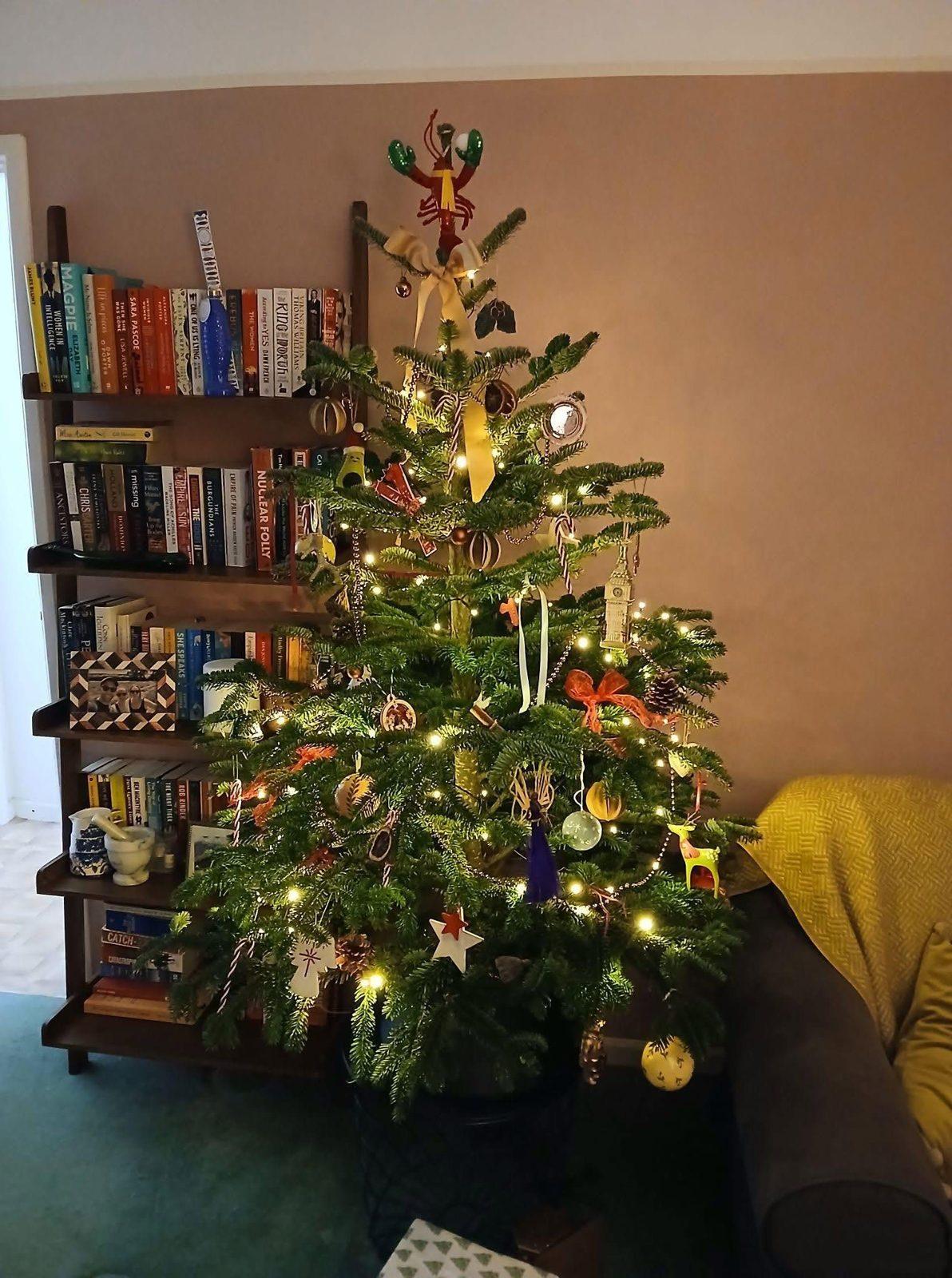A customer's tree bought from ACS and decorated at home: Rachel's 2025 best-dressed winner