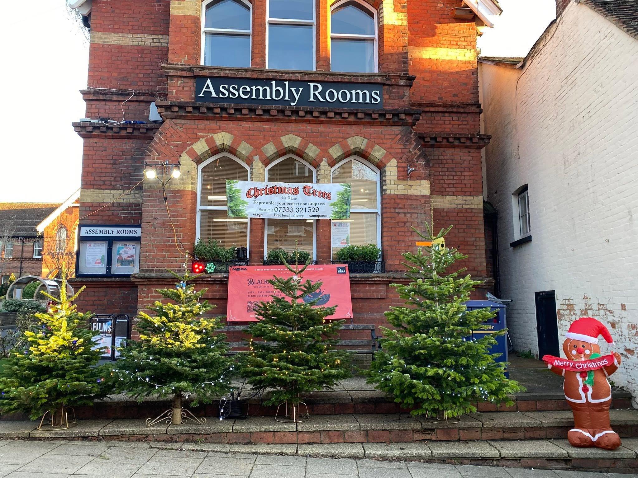 Lit Christmas trees on the Assembly Rooms steps, Alton High Street