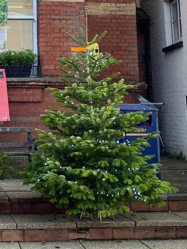 A whole Premium tree on its stand, with its orange tag, outside the Assembly Rooms