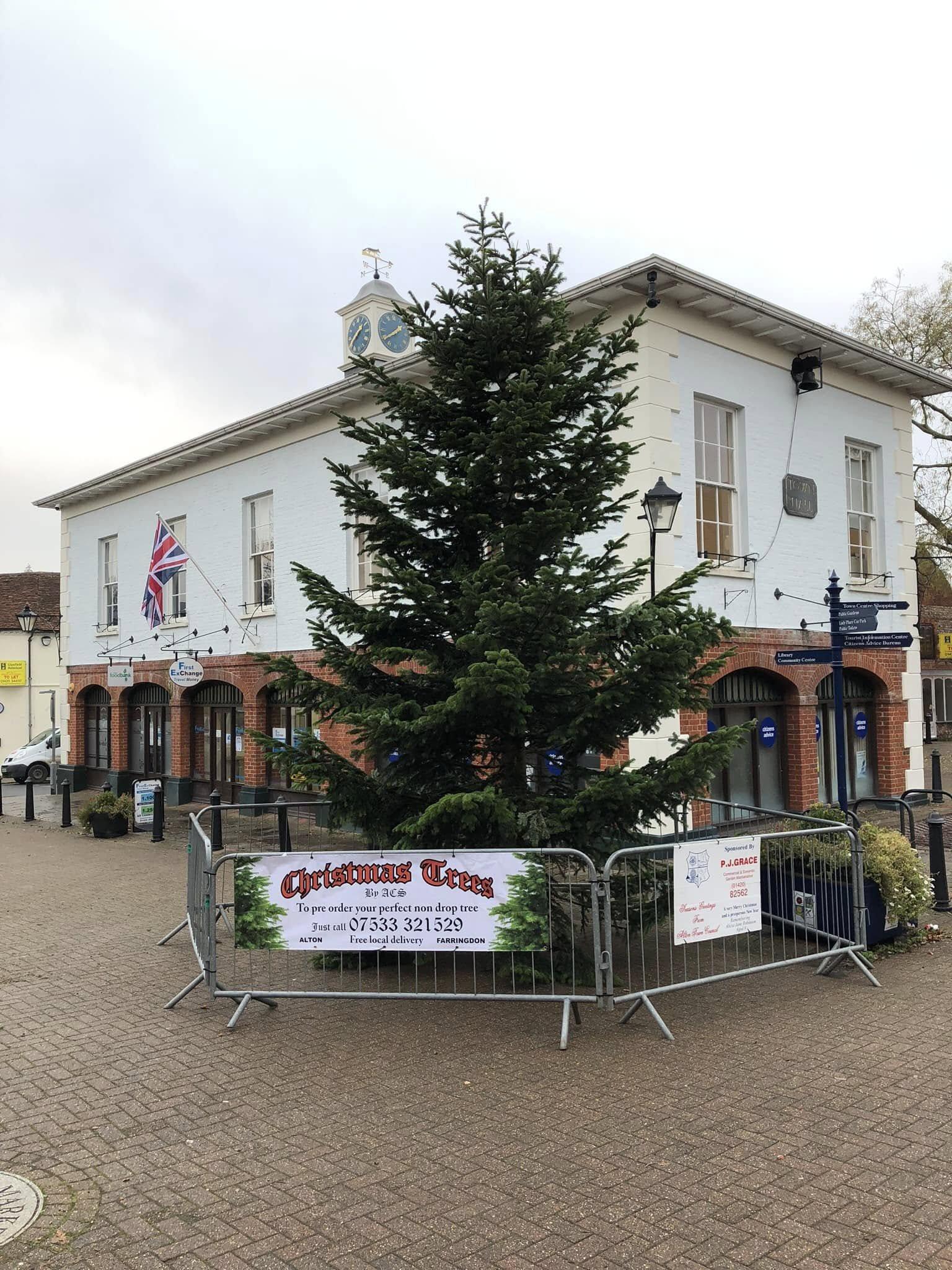The tall Christmas tree in Alton town centre, supplied by ACS Christmas Trees