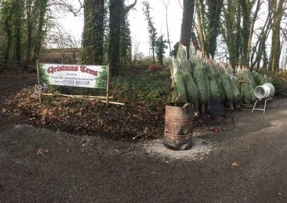 Netted trees, the netting machine and the ACS Christmas Trees banner at a woodland pitch